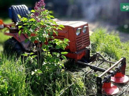 ХТЗ Т-010 1990 у Обухове на Automoto.ua ХТЗ Т-010, об'ємом двигуна 0.48 л та пробігом 0 тис. км за 2355 $, фото 1 на Automoto.ua