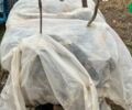 ХТЗ Т-150, об'ємом двигуна 0 л та пробігом 0 тис. км за 8493 $, фото 17 на Automoto.ua