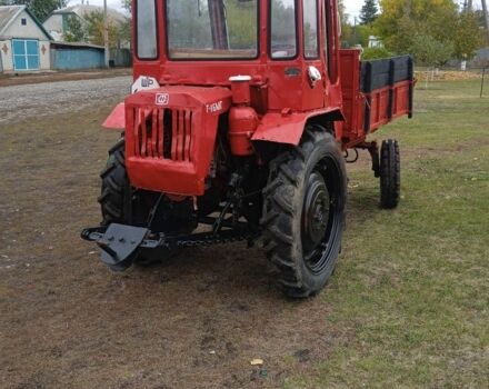 ХТЗ Т-16 1995 у Харкові на Automoto.ua Червоний ХТЗ Т-16, об'ємом двигуна 2 л та пробігом 200 тис. км за 2800 $, фото 9 на Automoto.ua