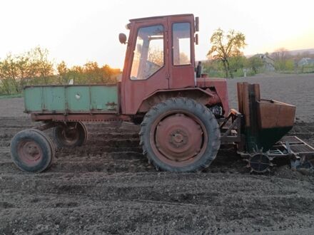 ХТЗ Т-16 1985 у Бару на Automoto.ua Червоний ХТЗ Т-16, об'ємом двигуна 0 л та пробігом 10 тис. км за 2300 $, фото 1 на Automoto.ua