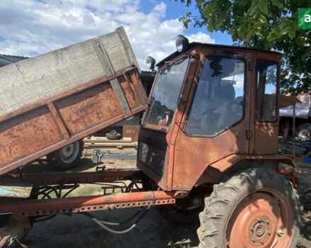ХТЗ Т-16, об'ємом двигуна 2.8 л та пробігом 0 тис. км за 1796 $, фото 1 на Automoto.ua