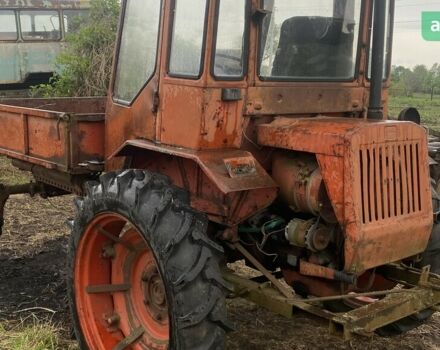 ХТЗ Т-16, объемом двигателя 0 л и пробегом 0 тыс. км за 1400 $, фото 1 на Automoto.ua