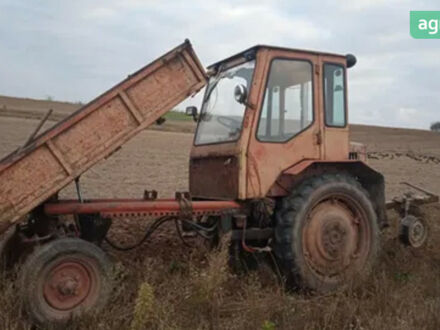 ХТЗ Т-16, об'ємом двигуна 2.08 л та пробігом 0 тис. км за 3000 $, фото 1 на Automoto.ua