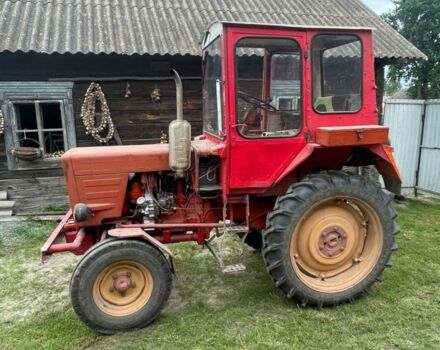 Червоний ХТЗ Т-25, об'ємом двигуна 0 л та пробігом 10 тис. км за 5500 $, фото 1 на Automoto.ua