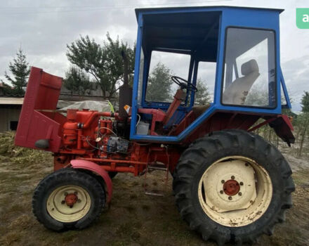 ХТЗ Т-25, объемом двигателя 2.01 л и пробегом 0 тыс. км за 4600 $, фото 2 на Automoto.ua