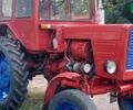ХТЗ Т-25, объемом двигателя 2.01 л и пробегом 0 тыс. км за 3600 $, фото 1 на Automoto.ua