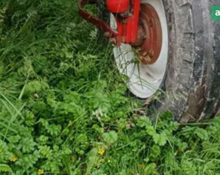 ХТЗ Т-25, об'ємом двигуна 0 л та пробігом 0 тис. км за 4100 $, фото 4 на Automoto.ua