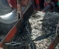 ХТЗ Т-25, об'ємом двигуна 1.25 л та пробігом 0 тис. км за 4200 $, фото 1 на Automoto.ua