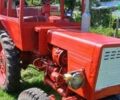 ХТЗ Т-25, объемом двигателя 0 л и пробегом 0 тыс. км за 2950 $, фото 1 на Automoto.ua