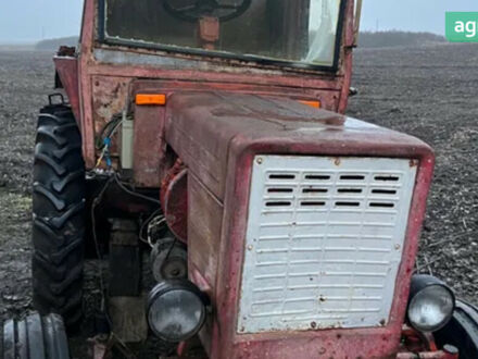 ХТЗ Т-25, об'ємом двигуна 2.01 л та пробігом 0 тис. км за 5000 $, фото 1 на Automoto.ua