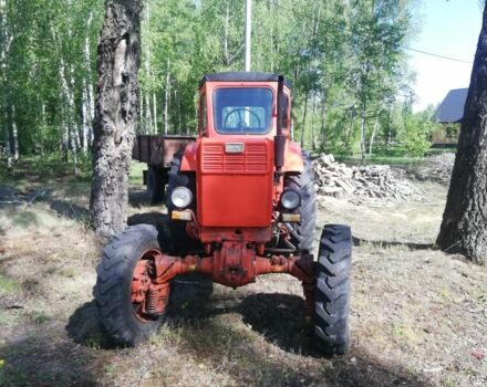 Красный ХТЗ Т-40АМ, объемом двигателя 0 л и пробегом 10 тыс. км за 4800 $, фото 13 на Automoto.ua