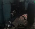 ХТЗ Т-40АМ, об'ємом двигуна 4.15 л та пробігом 0 тис. км за 4000 $, фото 4 на Automoto.ua