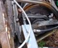 ХТЗ Т-40АМ, объемом двигателя 0 л и пробегом 0 тыс. км за 3100 $, фото 5 на Automoto.ua