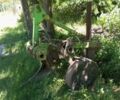ХТЗ Другая, объемом двигателя 4.15 л и пробегом 0 тыс. км за 2300 $, фото 3 на Automoto.ua