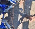 ХТЗ Другая, объемом двигателя 11 л и пробегом 0 тыс. км за 9300 $, фото 4 на Automoto.ua