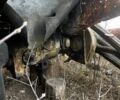 ХТЗ Другая, объемом двигателя 0 л и пробегом 0 тыс. км за 1000 $, фото 3 на Automoto.ua