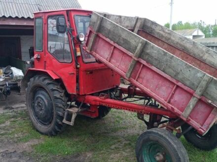 ХТЗ Інша 1981 у Чернухах на Automoto.ua ХТЗ Інша, об'ємом двигуна 0 л та пробігом 0 тис. км за 3100 $, фото 1 на Automoto.ua