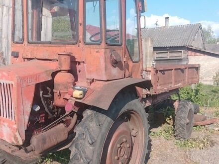 ХТЗ Другая 1991 в Ковель на Automoto.ua ХТЗ Другая, объемом двигателя 2 л и пробегом 100 тыс. км за 1550 $, фото 1 на Automoto.ua