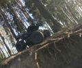 Хеймер Інша, об'ємом двигуна 0.18 л та пробігом 0 тис. км за 600 $, фото 7 на Automoto.ua