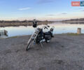 Харлей-Дэвидсон 1200 Sportster 2013 в Карловке на Automoto.ua Серый Харлей-Дэвидсон 1200 Sportster, объемом двигателя 1.2 л и пробегом 27 тыс. км за 10500 $, фото 9 на Automoto.ua
