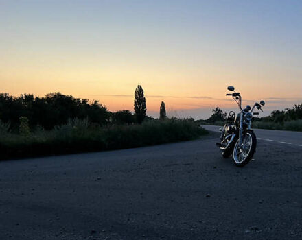 Харлей-Дэвидсон 1200 Sportster 2013 в Карловке на Automoto.ua Серый Харлей-Дэвидсон 1200 Sportster, объемом двигателя 1.2 л и пробегом 27 тыс. км за 10500 $, фото 7 на Automoto.ua