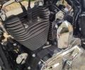 Харлей-Девідсон 1200C Sportster Custom, об'ємом двигуна 1.2 л та пробігом 436 тис. км за 12000 $, фото 9 на Automoto.ua