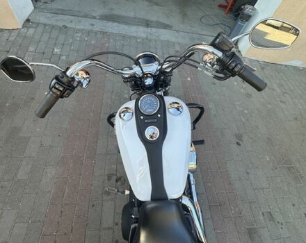 Харлей-Дэвидсон Дина, объемом двигателя 1 л и пробегом 0 тыс. км за 13300 $, фото 3 на Automoto.ua