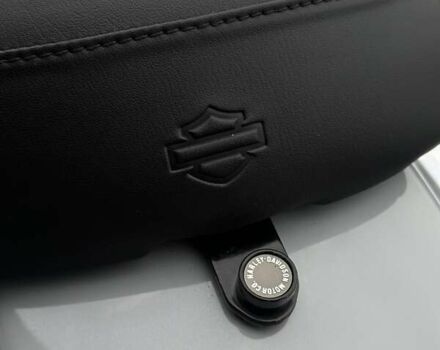 Сірий Харлей-Девідсон ФЛХКС, об'ємом двигуна 1.92 л та пробігом 6 тис. км за 29900 $, фото 8 на Automoto.ua