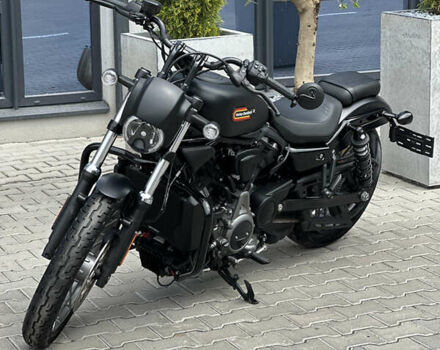 Черный Харлей-Дэвидсон Найтстер, объемом двигателя 0.9 л и пробегом 4 тыс. км за 13666 $, фото 11 на Automoto.ua