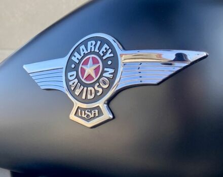 Харлей-Дэвидсон Другая, объемом двигателя 1.69 л и пробегом 0 тыс. км за 11900 $, фото 4 на Automoto.ua