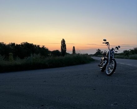 Харлей-Дэвидсон Другая, объемом двигателя 1.2 л и пробегом 0 тыс. км за 10000 $, фото 7 на Automoto.ua