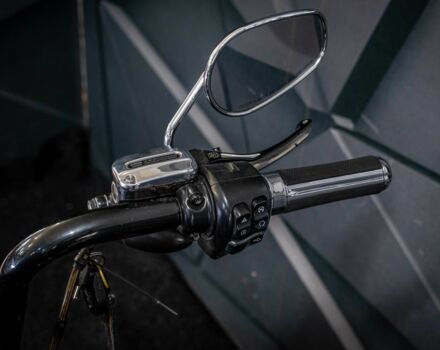 Харлей-Девідсон Інша, об'ємом двигуна 1.8 л та пробігом 0 тис. км за 20000 $, фото 17 на Automoto.ua