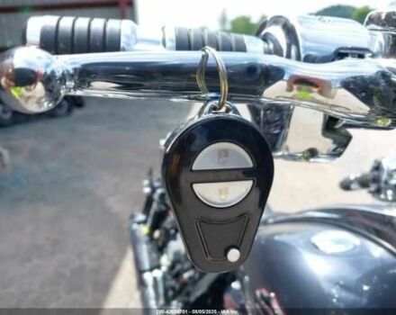 Харлей-Девідсон Інша, об'ємом двигуна 1.92 л та пробігом 0 тис. км за 8000 $, фото 10 на Automoto.ua