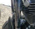 Харлей-Девідсон Інша, об'ємом двигуна 1.75 л та пробігом 0 тис. км за 5000 $, фото 8 на Automoto.ua