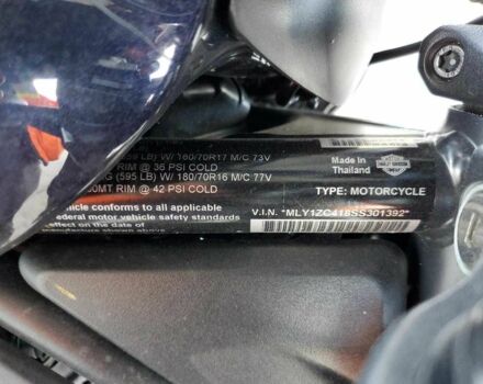 Харлей-Дэвидсон Другая, объемом двигателя 1.25 л и пробегом 0 тыс. км за 5500 $, фото 8 на Automoto.ua