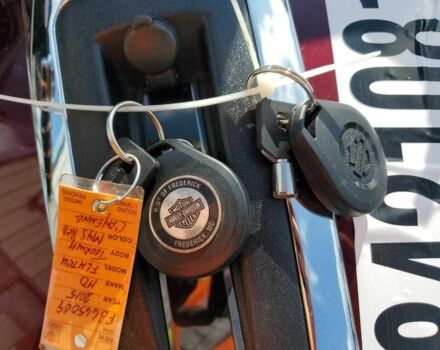 Харлей-Девідсон Інша, об'ємом двигуна 1.8 л та пробігом 0 тис. км за 2000 $, фото 7 на Automoto.ua