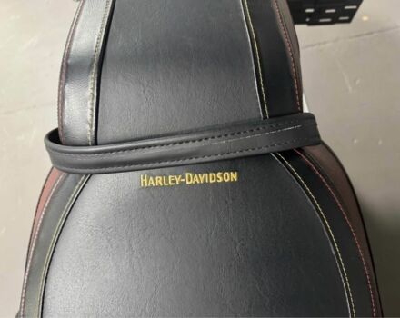 Харлей-Дэвидсон Другая, объемом двигателя 1.87 л и пробегом 0 тыс. км за 22000 $, фото 4 на Automoto.ua