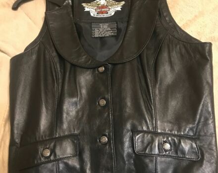 Харлей-Девідсон Інша, об'ємом двигуна 0 л та пробігом 0 тис. км за 100 $, фото 1 на Automoto.ua