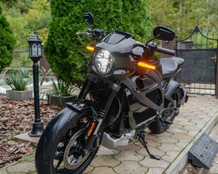 Харлей-Дэвидсон Другая, объемом двигателя 0 л и пробегом 0 тыс. км за 17000 $, фото 5 на Automoto.ua