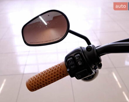 Серый Харлей-Дэвидсон FLSL, объемом двигателя 1.7 л и пробегом 18 тыс. км за 16900 $, фото 11 на Automoto.ua