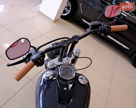 Серый Харлей-Дэвидсон FLSL, объемом двигателя 1.7 л и пробегом 18 тыс. км за 16900 $, фото 15 на Automoto.ua