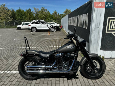 Харлей-Дэвидсон Softail Slim FLS 2019 в Днепре (Днепропетровске) на Automoto.ua Серый Харлей-Дэвидсон Softail Slim FLS, объемом двигателя 1.75 л и пробегом 3 тыс. км за 20500 $, фото 1 на Automoto.ua