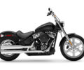 Харлей-Дэвидсон Softail Standard, объемом двигателя 1.75 л и пробегом 0 тыс. км за 20259 $, фото 1 на Automoto.ua