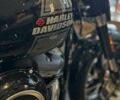 Харлей-Дэвидсон Sport Glide, объемом двигателя 1.75 л и пробегом 0 тыс. км за 25069 $, фото 14 на Automoto.ua