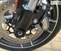 Оранжевый Харлей-Дэвидсон Sport Glide, объемом двигателя 1.7 л и пробегом 10 тыс. км за 22800 $, фото 13 на Automoto.ua