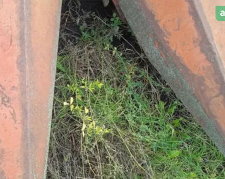 Херсонмаш КМС, об'ємом двигуна 0 л та пробігом 0 тис. км за 2366 $, фото 3 на Automoto.ua