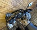 Хисан Другая, объемом двигателя 0.6 л и пробегом 0 тыс. км за 7200 $, фото 2 на Automoto.ua