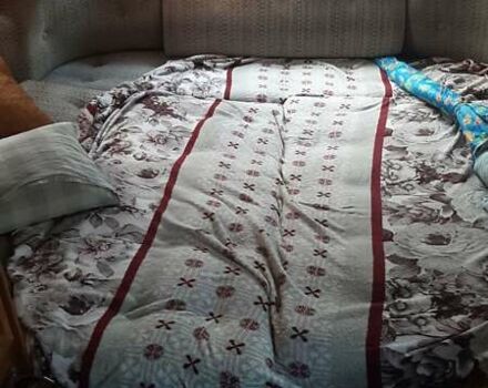 Серый Хобби Wohnwagenwerk, объемом двигателя 0 л и пробегом 20 тыс. км за 3498 $, фото 18 на Automoto.ua