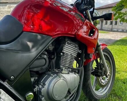 Хонда CB 500, объемом двигателя 0 л и пробегом 35 тыс. км за 2000 $, фото 1 на Automoto.ua
