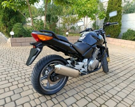 Хонда CBF 500, объемом двигателя 0.5 л и пробегом 0 тыс. км за 3700 $, фото 3 на Automoto.ua